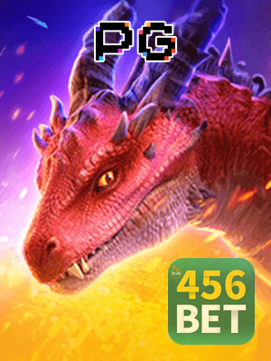 Recursos App 456BET